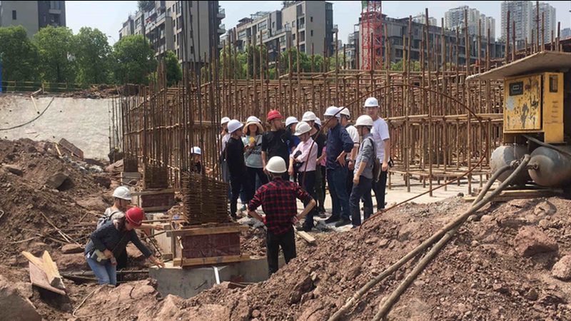 园林绿化预算定额套用解析：关键步骤与注意事项**